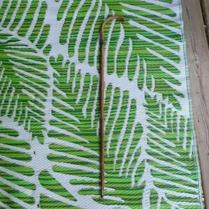 Bamboo  cane